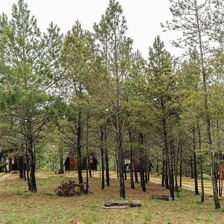 Chales Naturale - Campos Do Jordao - Cna Екстериор снимка